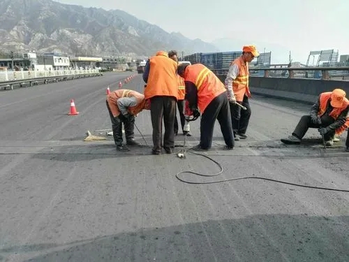 丰城道路桥梁病害治理